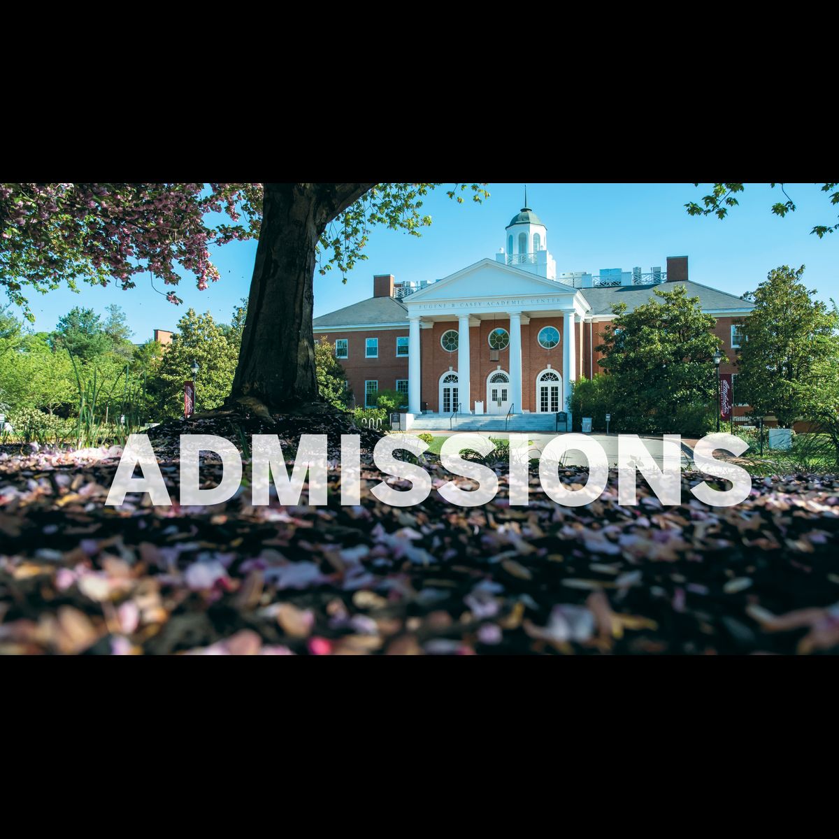 Admissions admissions