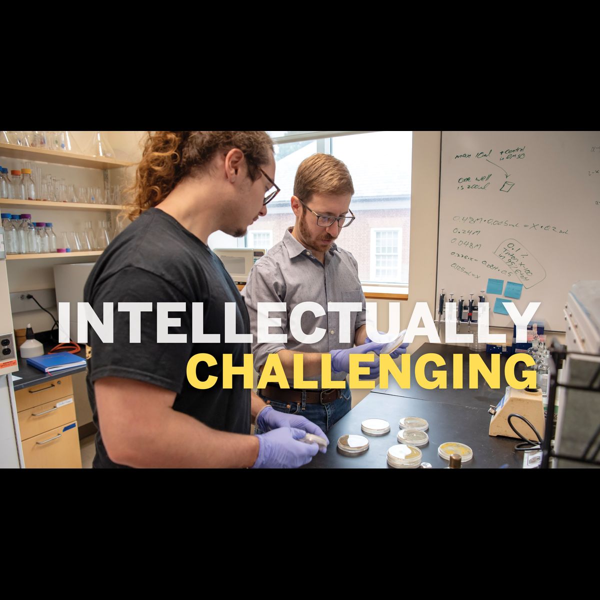Intellectually Demanding Intellectually Challenging
