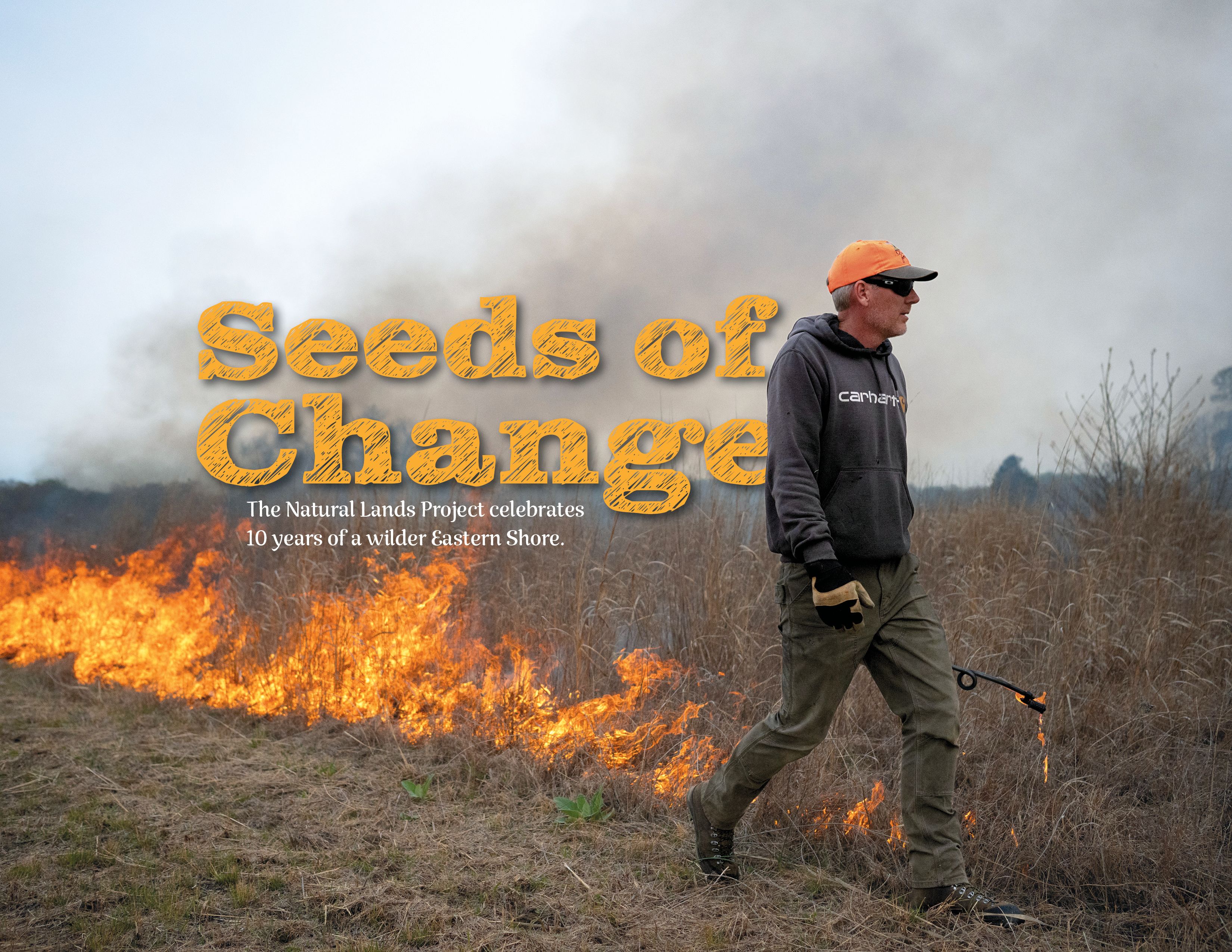 Seeds of Change